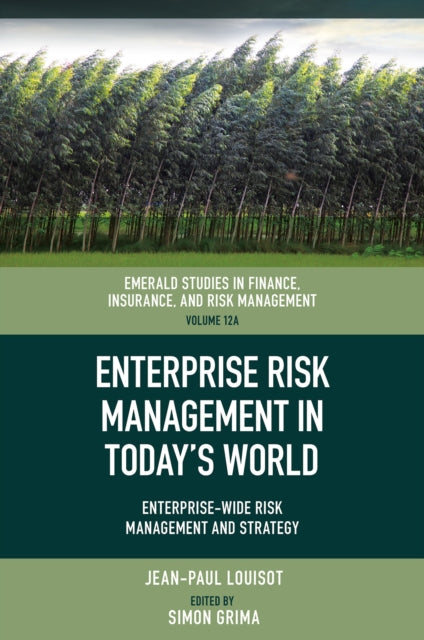 Enterprise Risk Management in Todays World