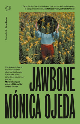 Jawbone