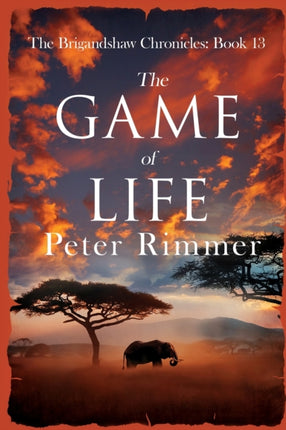 The Game of Life