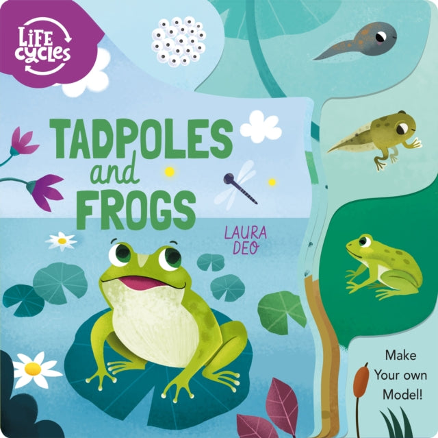 Tadpoles and Frogs: Make Your Own Model!