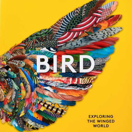 Bird: Exploring the Winged World