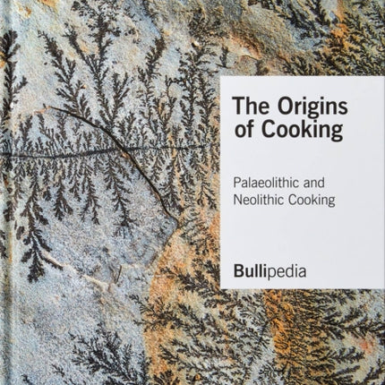 The Origins of Cooking: Palaeolithic and Neolithic Cooking