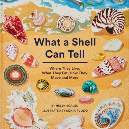 What A Shell Can Tell