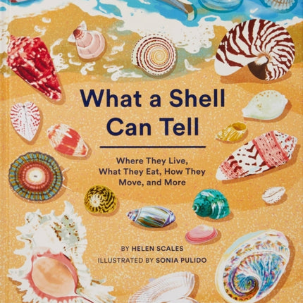 What a Shell Can Tell