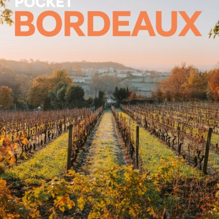 Lonely Planet Pocket Bordeaux