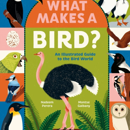 What Makes a Bird