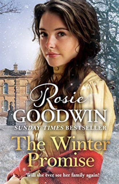 The Winter Promise: A perfect cosy Victorian saga from the Sunday Times bestselling author