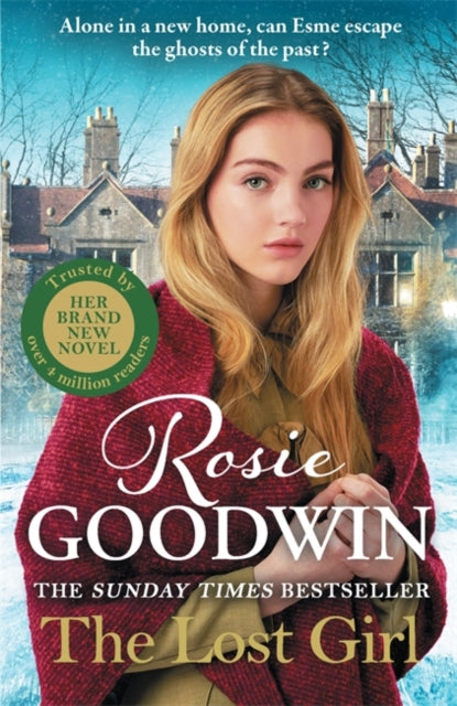 The Lost Girl: The heartbreaking new novel from Sunday Times bestseller Rosie Goodwin