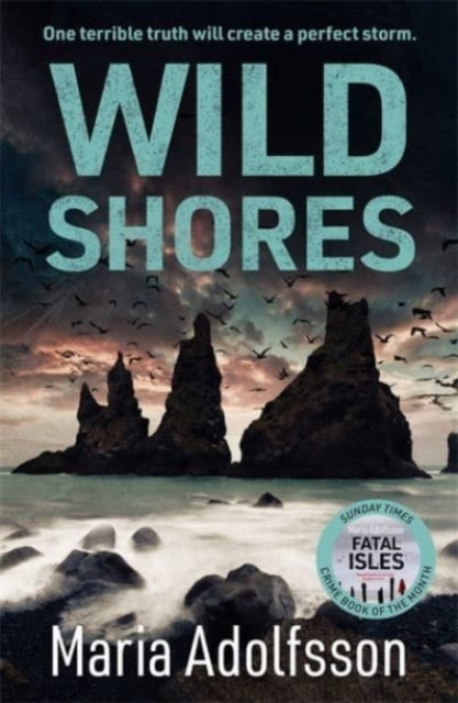 Wild Shores: The bestselling atmospheric police procedural that has taken the world by storm