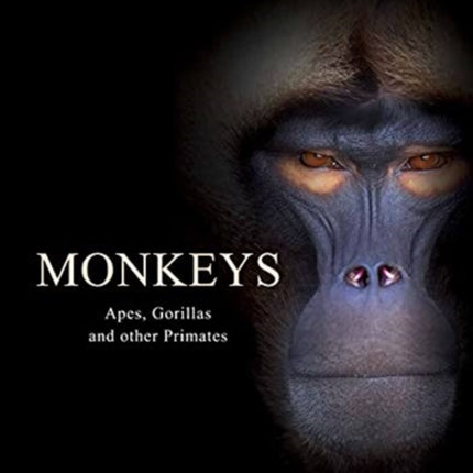 Monkeys: Apes, Gorillas and other Primates