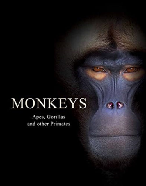 Monkeys: Apes, Gorillas and other Primates