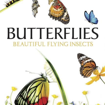 Butterflies: Beautiful Flying Insects