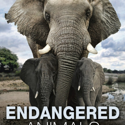 Endangered Animals