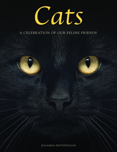 Cats: A Celebration of our Feline Friends