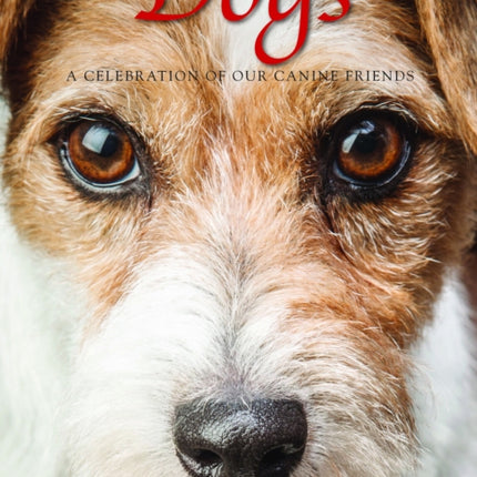 Dogs: A Celebration of our Canine Friends