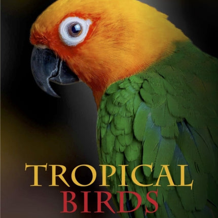 Tropical Birds