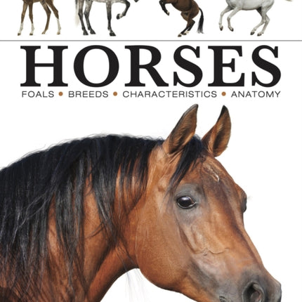 Horses