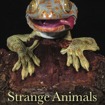 Strange Animals