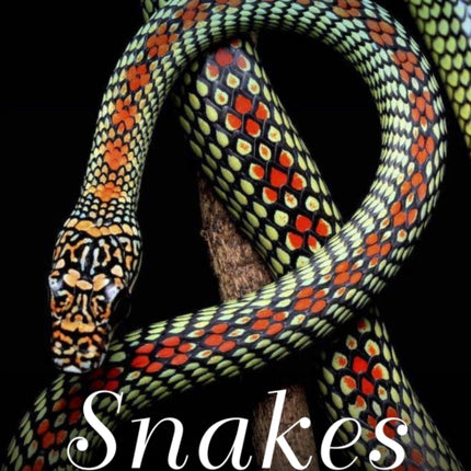 Snakes: From Vipers to Boa Constrictors