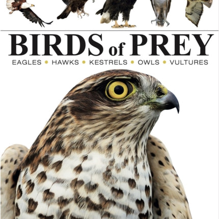 Birds of Prey