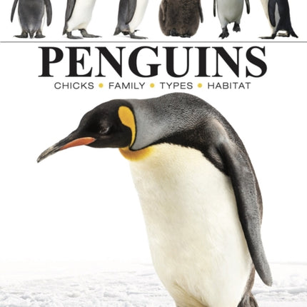 Penguins