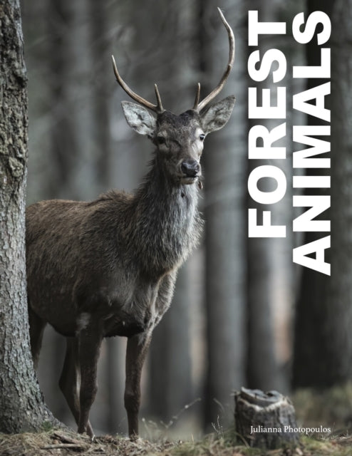 Forest Animals