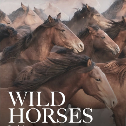 Wild Horses