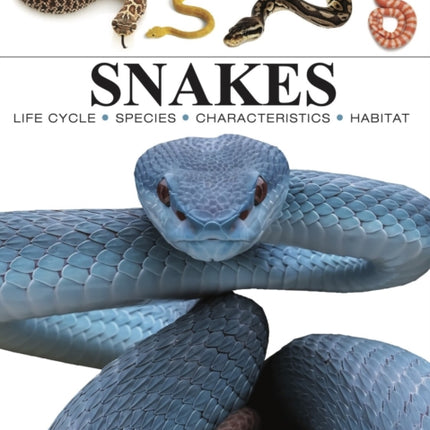 Snakes