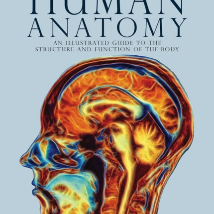 Human Anatomy