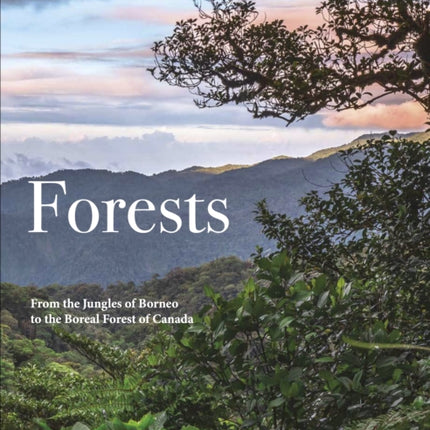 Forests