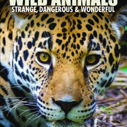 Wild Animals