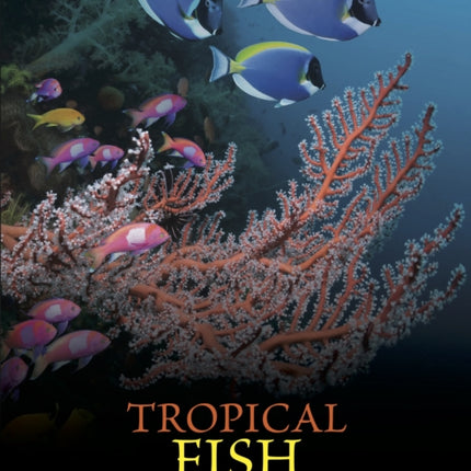 Tropical Fish