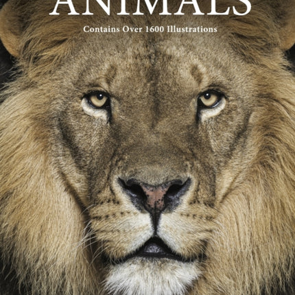 Encyclopedia of Animals