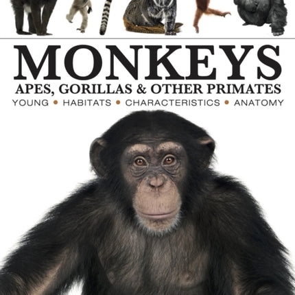Monkeys