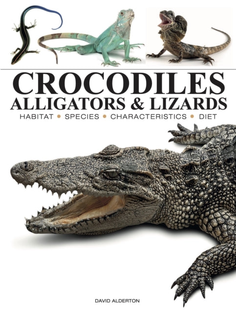Crocodiles Alligators  Lizards