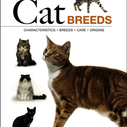 Cat Breeds