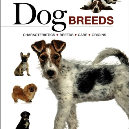 Dog Breeds