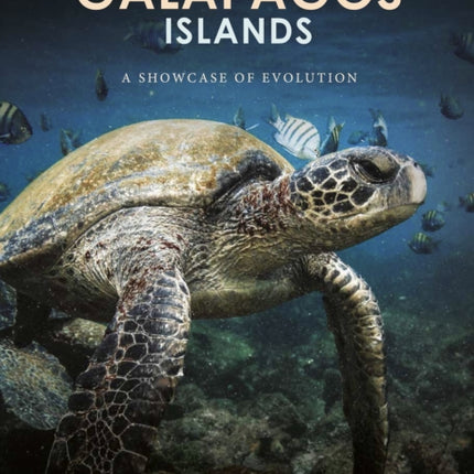 Galapagos Islands
