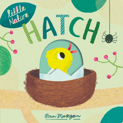 Hatch