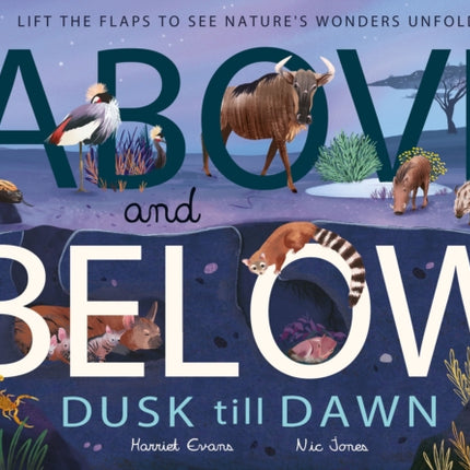 Above and Below: Dusk till Dawn: Lift the flaps to see nature's wonders unfold