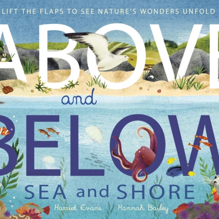 Above and Below: Sea and Shore: Lift the flaps to see nature's wonders unfold