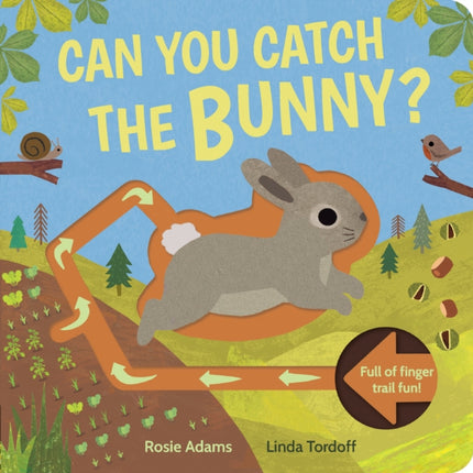 Can You Catch the Bunny?