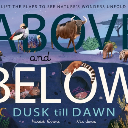Above and Below Dusk till Dawn