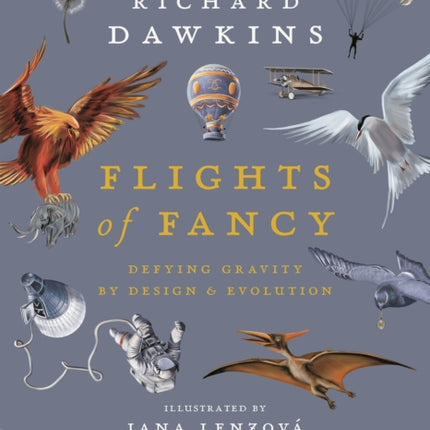 Flights of Fancy