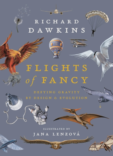 Flights of Fancy