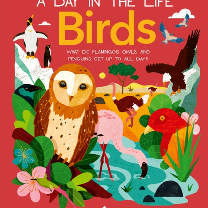 Birds (A Day in the Life): What Do Flamingos, Owls, and Penguins Get Up To All Day?