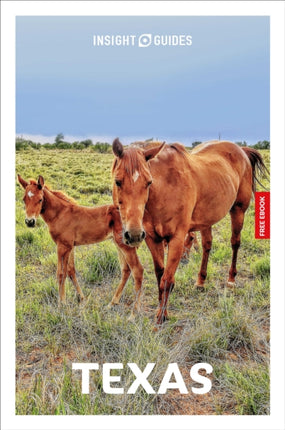Insight Guides Texas Travel Guide with Free eBook
