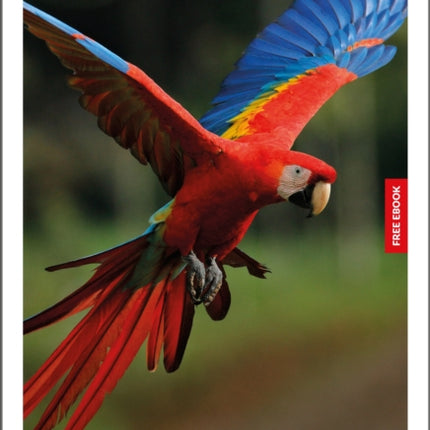 Insight Guides Costa Rica Travel Guide with eBook