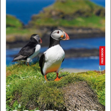 Insight Guides Scotland Travel Guide with eBook