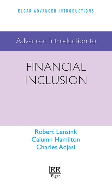 Advanced Introduction to Financial Inclusion